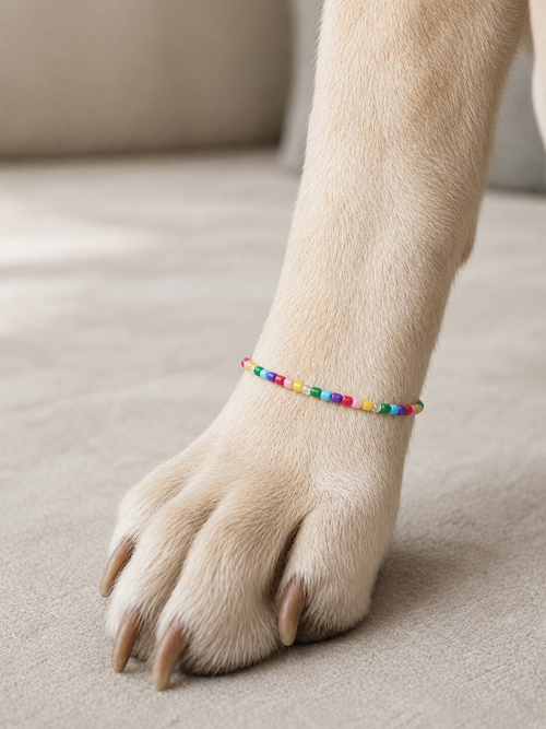 Fargerikt Perlearmbånd til Kjæledyr – Håndlaget Elastisk Armbånd