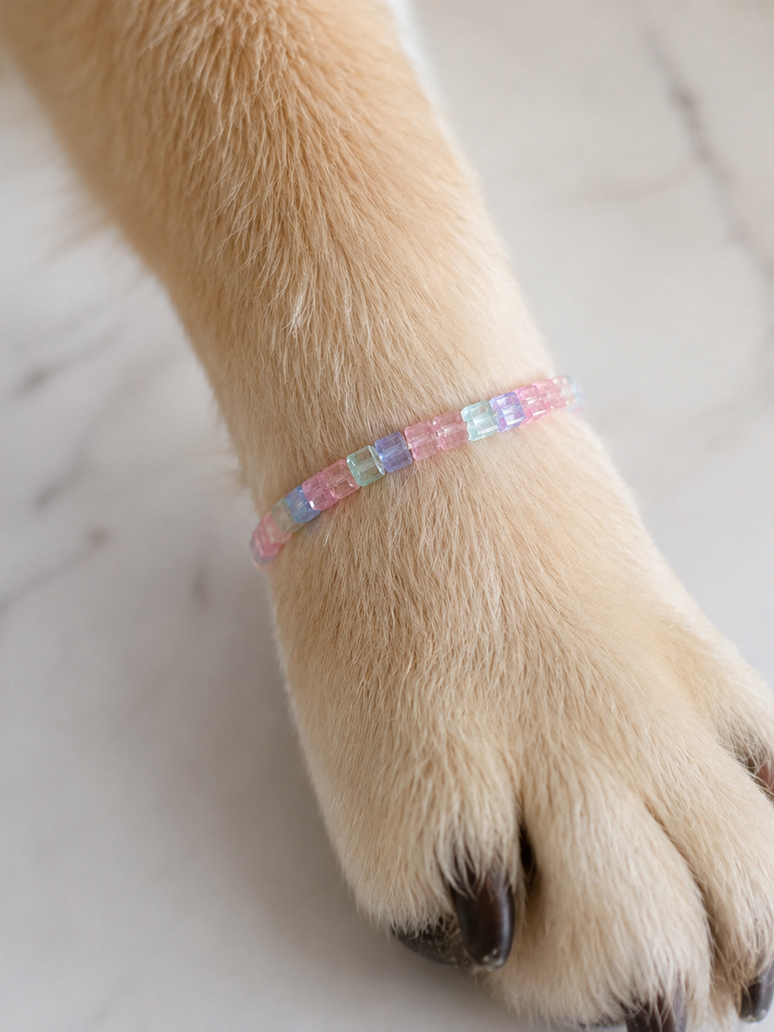 Pastellfarget krystallarmbånd til kjæledyr – Håndlaget elastisk armbånd med firkantede perler