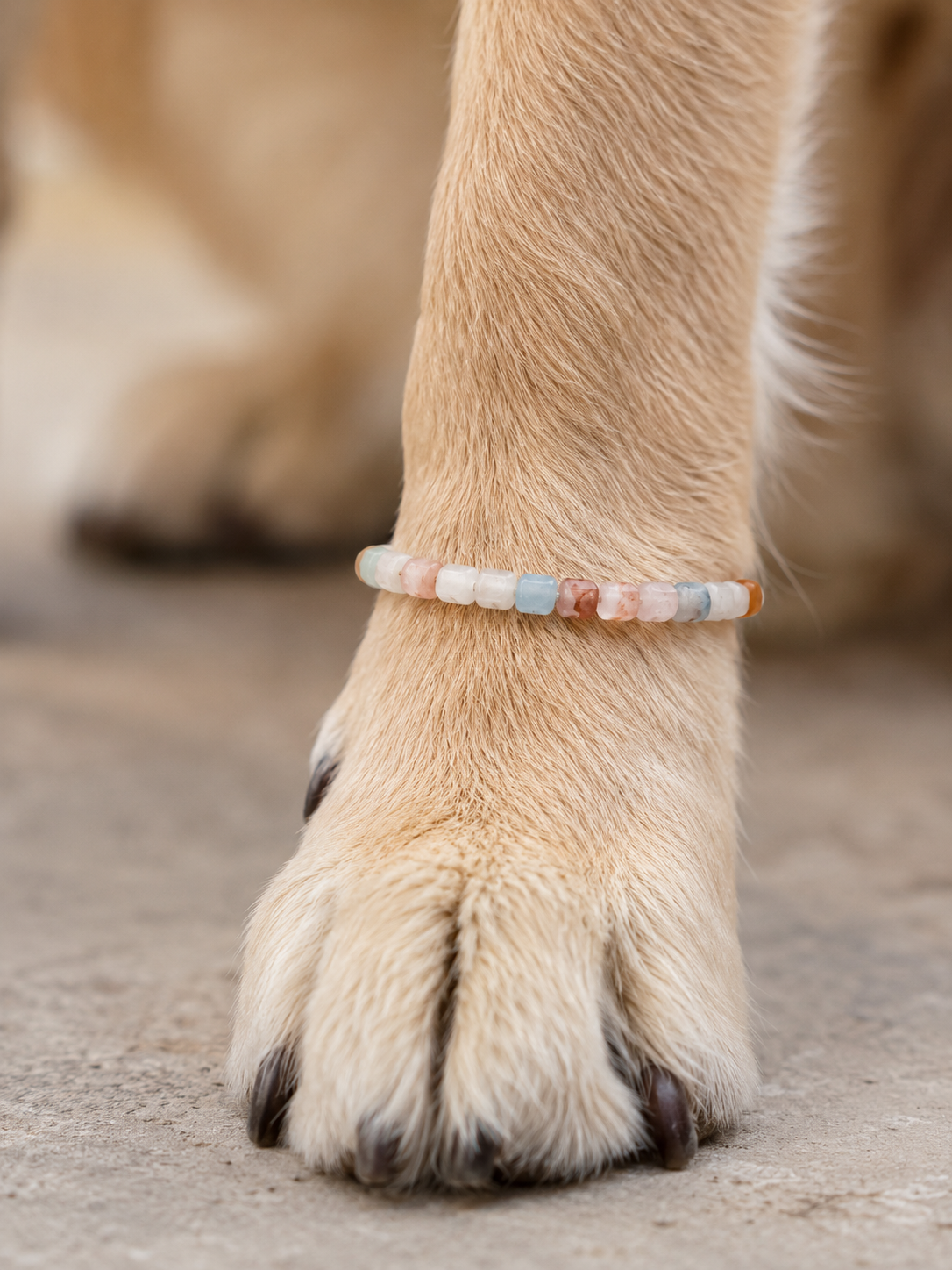Pastell natursteinsarmbånd til kjæledyr – Håndlaget elastisk armbånd med firkantede perler